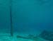 divingjan34