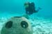 reefballs2