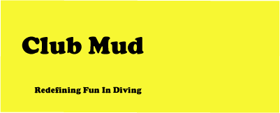 mudlogo