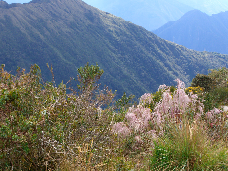 peru